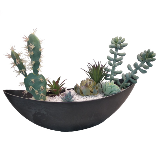 Суккуленты в кашпо "лодочка" 55*17,5*15 см