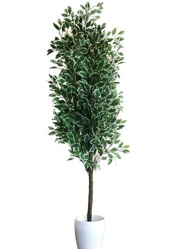 Фикус искусственный 190 см в горшке