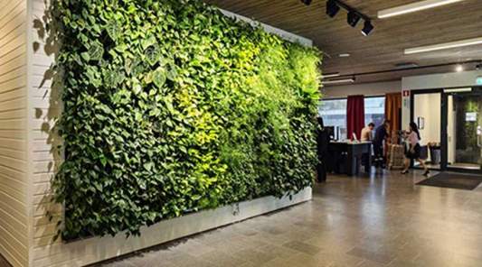 Искусственная трава